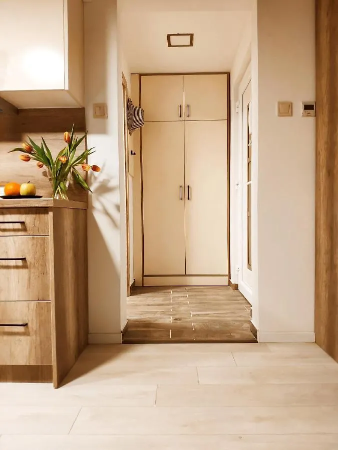 F27 Ferenc Apartment ブダペスト ハンガリー